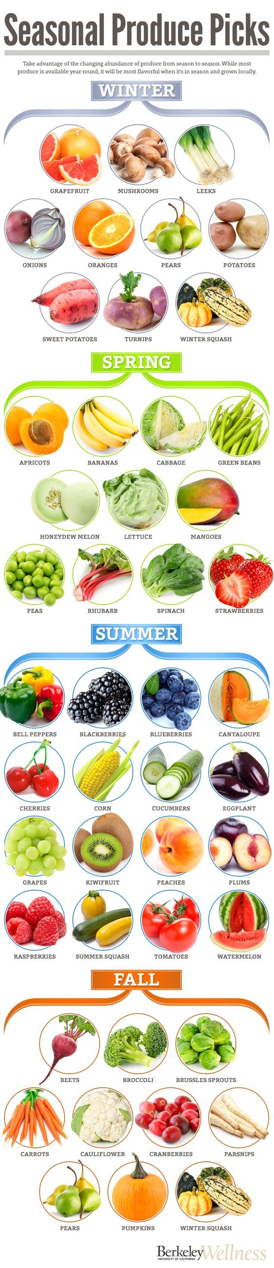 Seasonal Fruits and Veggies