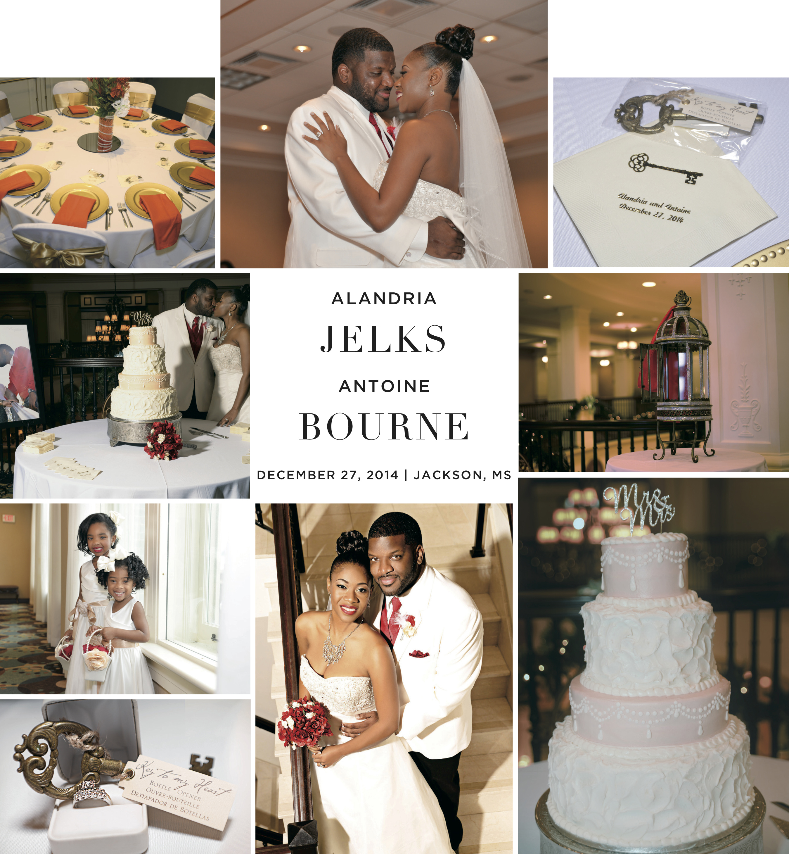 Jelks_Bourne_vol28